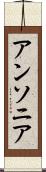 アンソニア Scroll