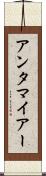 アンタマイアー Scroll