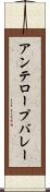 アンテロープバレー Scroll