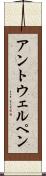アントウェルペン Scroll