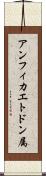 アンフィカエトドン属 Scroll