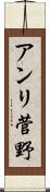アンリ菅野 Scroll