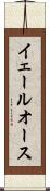 イェールオース Scroll