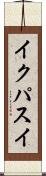 イクパスイ Scroll