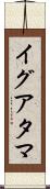 イグアタマ Scroll