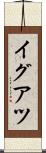 イグアツ Scroll