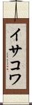 イサコワ Scroll