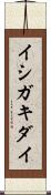 イシガキダイ Scroll