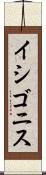 イシゴニス Scroll