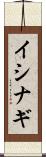イシナギ Scroll