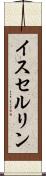 イスセルリン Scroll