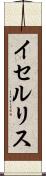 イセルリス Scroll