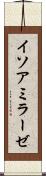 イソアミラーゼ Scroll