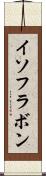 イソフラボン Scroll