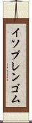 イソプレンゴム Scroll