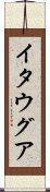 イタウグア Scroll