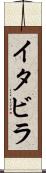 イタビラ Scroll
