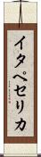 イタペセリカ Scroll