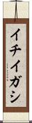イチイガシ Scroll