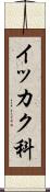 イッカク科 Scroll