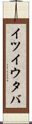 イツイウタバ Scroll