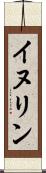 イヌリン Scroll
