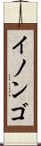 イノンゴ Scroll