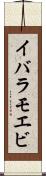 イバラモエビ Scroll