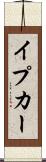 イプカー Scroll