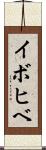 イボヒベ Scroll