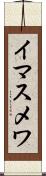 イマスメワ Scroll