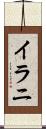 イラニ Scroll