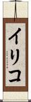 イリコ Scroll
