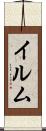 イルム Scroll