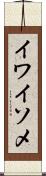 イワイソメ Scroll