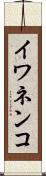 イワネンコ Scroll