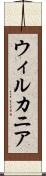 ウィルカニア Scroll