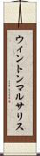 ウィントンマルサリス Scroll