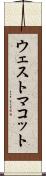 ウェストマコット Scroll