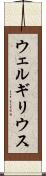 ウェルギリウス Scroll