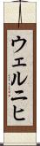 ウェルニヒ Scroll