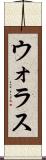ウォラス Scroll