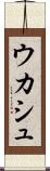 ウカシュ Scroll