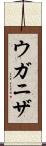 ウガニザ Scroll