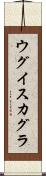 ウグイスカグラ Scroll