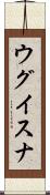 ウグイスナ Scroll