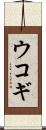 ウコギ Scroll