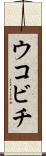 ウコビチ Scroll