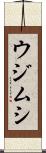 ウジムシ Scroll