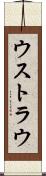 ウストラウ Scroll